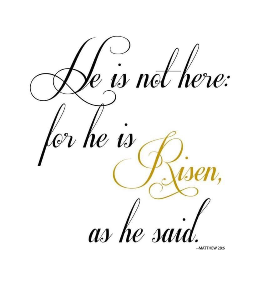 SWFLChristian's tweet image. Happy Easter from SFCA! 
He is risen! ✝️ #sfcakings
