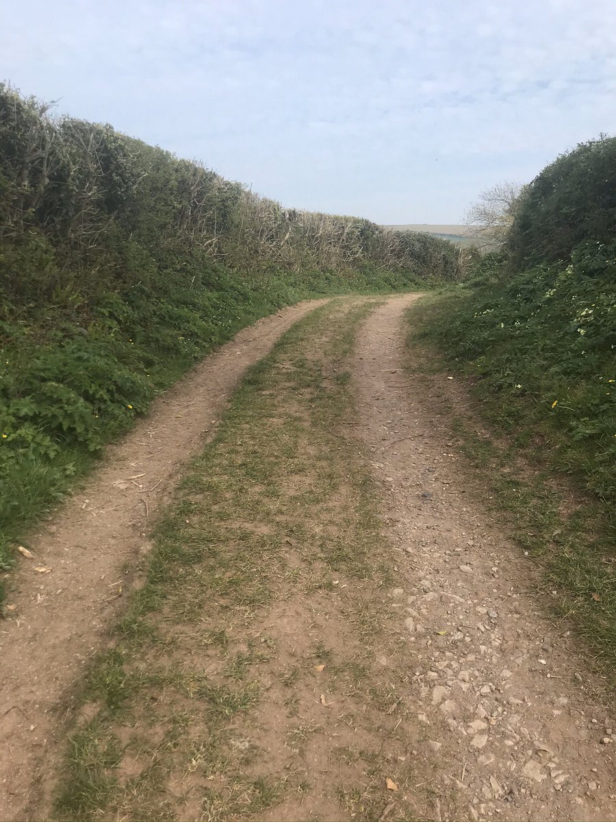 Enjoying the beautiful local Kingsbridge countryside on my downtime day with our dog. Really important to sustain physical and mental wellness during these crazy times.
