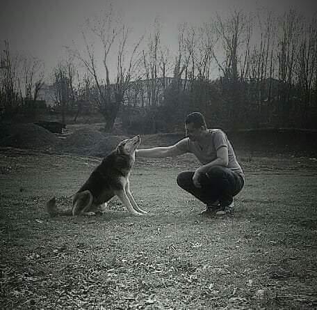 Hakan (@hakan83746703) on Twitter photo 