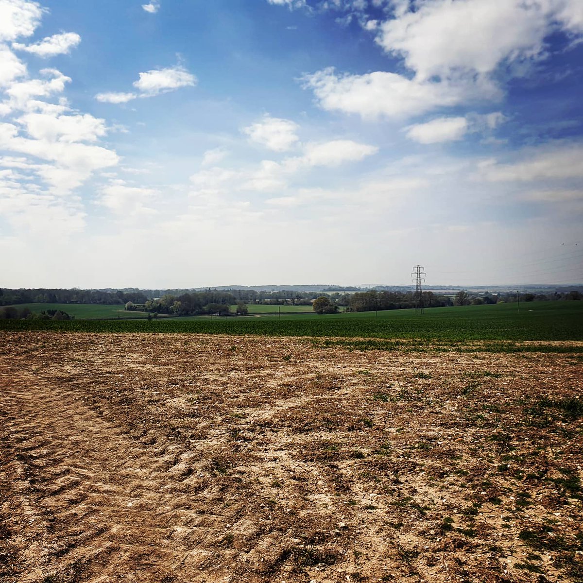 AndyRamsay2's tweet image. Today's Easter cycle. #fourmarks #Hampshire #countrysideandfarmland #Countryside #sunshine #cycling #farming #staysafe