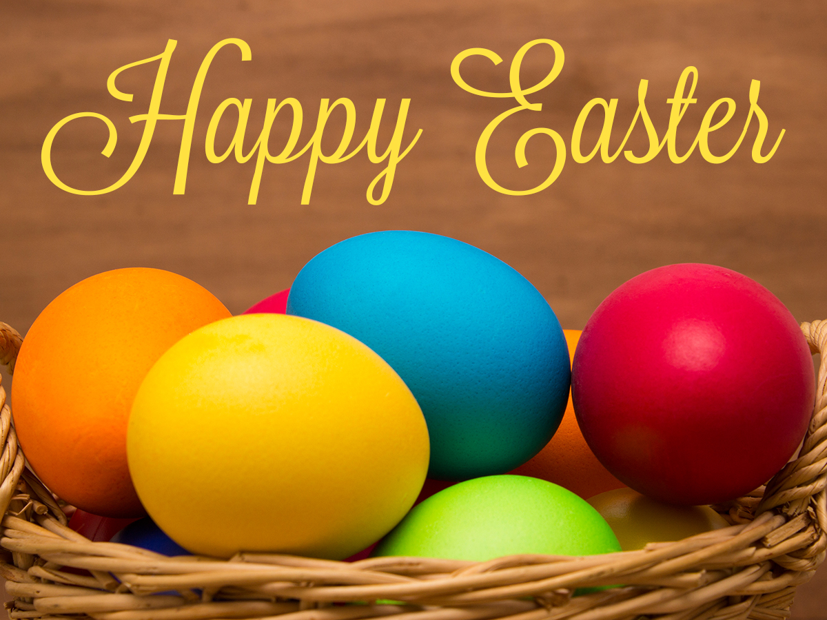 LKNHomesByRobin's tweet photo. Hide the eggs and pass the candy. It's Easter! #HappyEaster #celebrate https://t.co/Zo3SkujvdN