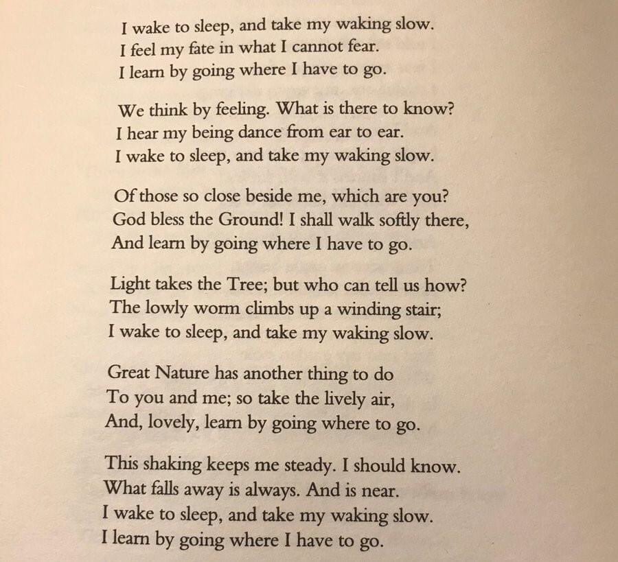#nationalpoetrymonth
poem for April 12th
"The Waking" by Theodore Roethke