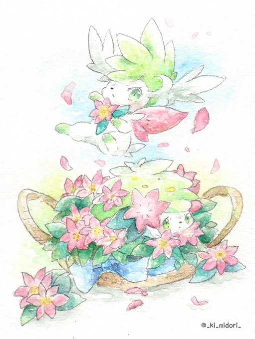 シェイミおめ★
#シェイミの日 