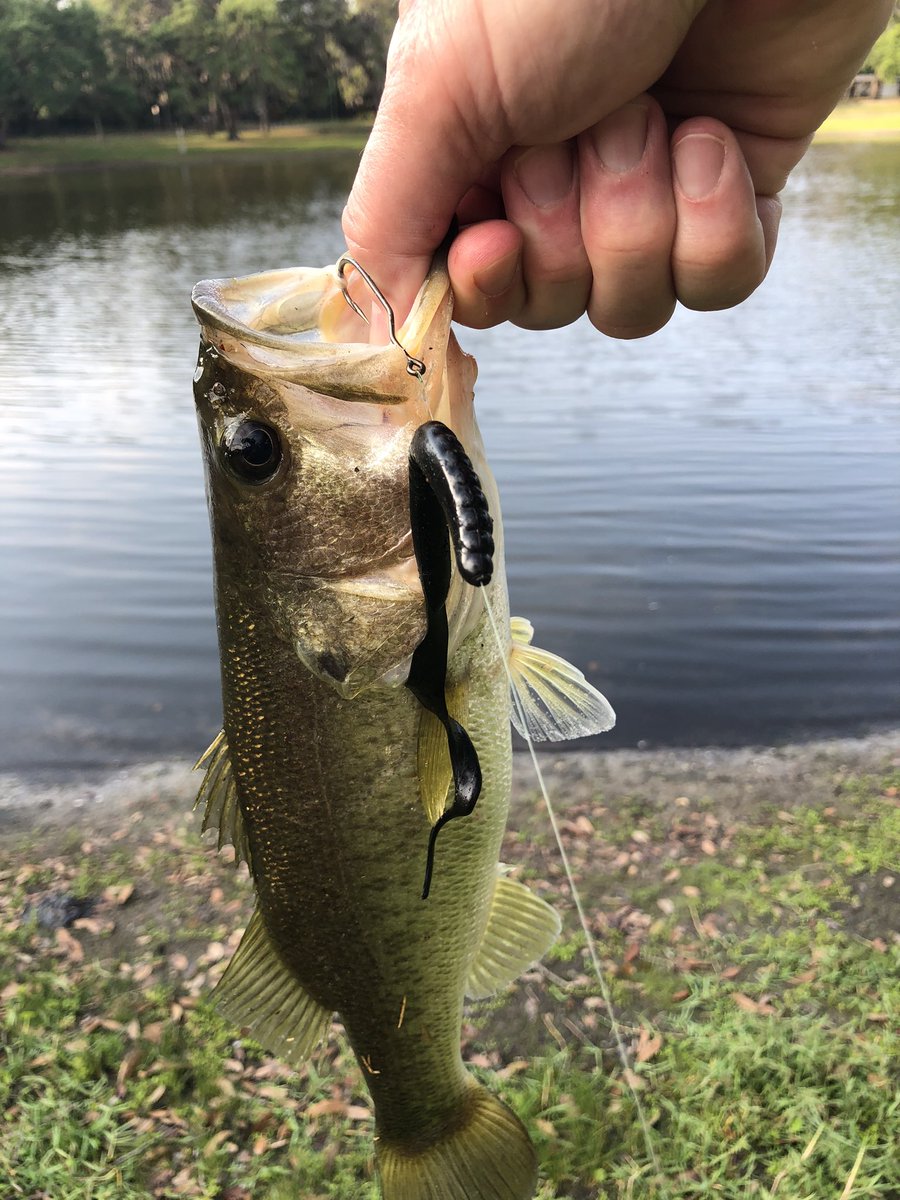 The local bass their own Easter hunt this morning. One found a lime green peep and the other black licorice 🤢
Have a #HappyEaster everyone!