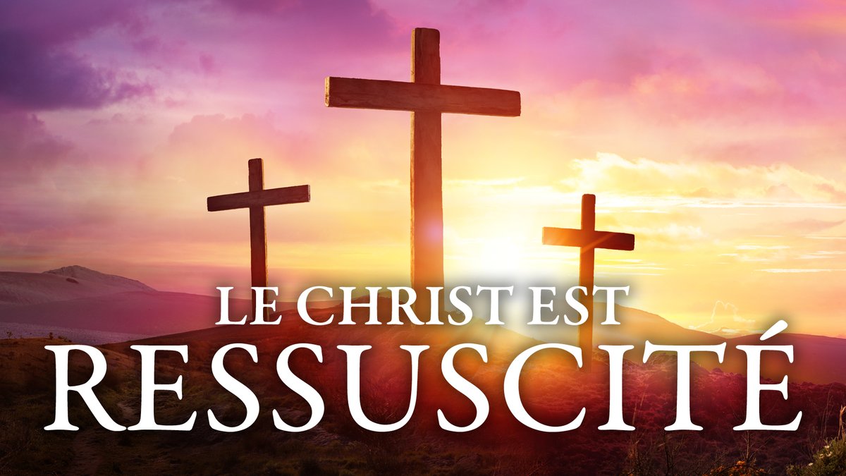 Peter Mackay Le Christ Est Ressuscite Alors Que Les Chretiens Celebrent La Resurrection De Jesus Je Souhaite A Vous Et A Votre Famille De Joyeuses Paques T Co Shf9exlz8t