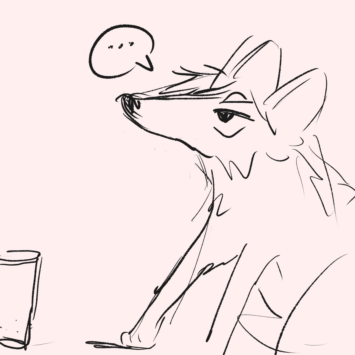 tsumufox gets his head stuck in a plastic coffee cup (to get attention)