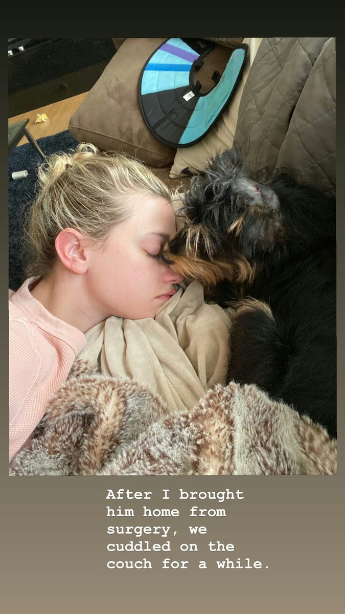 Beatriz24409392's tweet photo. day 29 of telling @lilireinhart that i love him every day until he responds: i love you @lilireinhart kiss from Portugal😉💕
"I’m glad it helped you ❤️" 29/03/2020
I hope Milo stay better ! #PrayForMilo https://t.co/W487YpbAGK