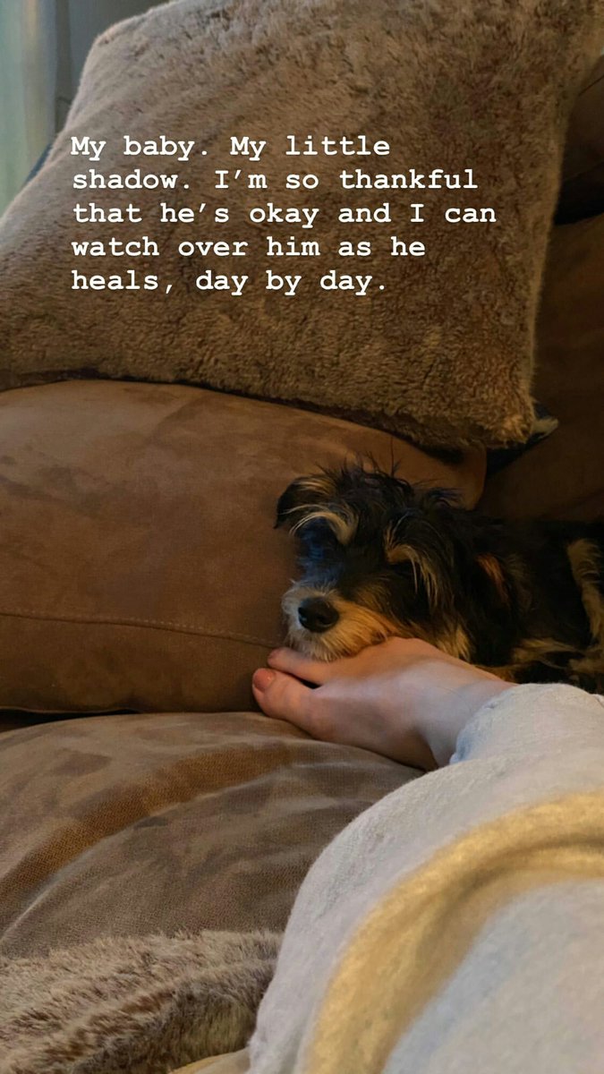 Beatriz24409392's tweet photo. day 29 of telling @lilireinhart that i love him every day until he responds: i love you @lilireinhart kiss from Portugal😉💕
"I’m glad it helped you ❤️" 29/03/2020
I hope Milo stay better ! #PrayForMilo https://t.co/W487YpbAGK