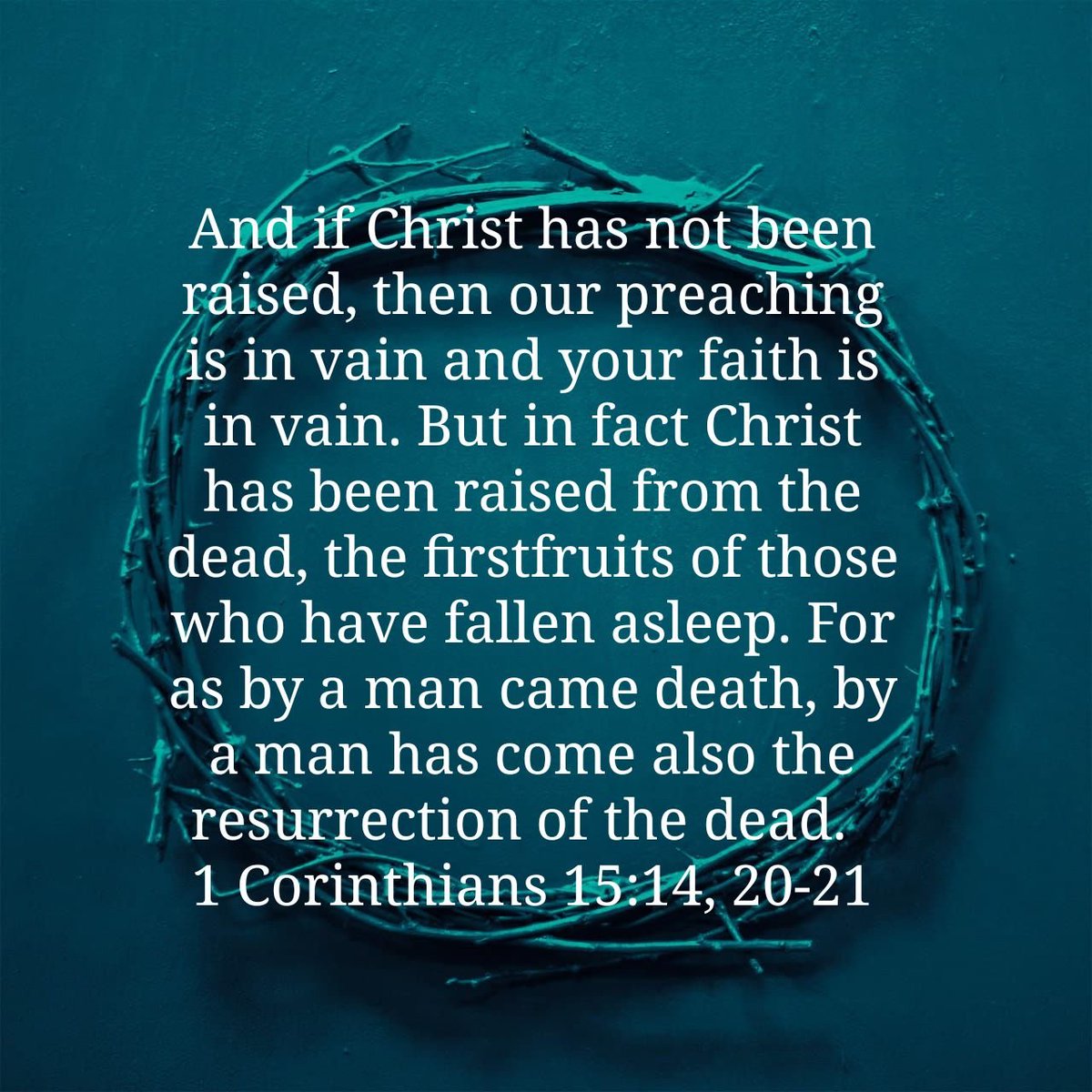 John Wells (@johnvvells) on Twitter photo 