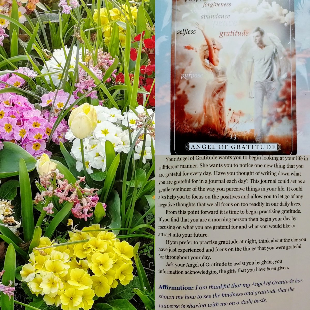 Happy Easter! 🐇Hope you are all well and safe. I asked my angel cards to give me a message for people and an angel of gratitude wanted to be heard. Be grateful for the little things in life 🌺
#angelofgratitude #gratitude #angels #guardianangel #lawofattraction #Easter2020