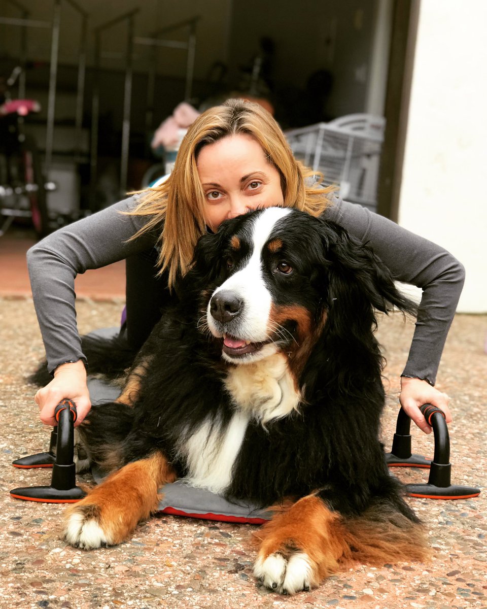 tara strong (@tarastrong) on Twitter photo #happyeaster everyone 🐥💛 got to spend my morning with my kickass trainer <a href="/NatBardonnet/">nat bardonnet</a> 6ft away in my driveway with miss Reesie girl getting in the way at all the right times 💛💛 #happyeaster everyone 🐥💛 got to spend my morning with my kickass trainer <a href="/NatBardonnet/">nat bardonnet</a> 6ft away in my driveway with miss Reesie girl getting in the way at all the right times 💛💛