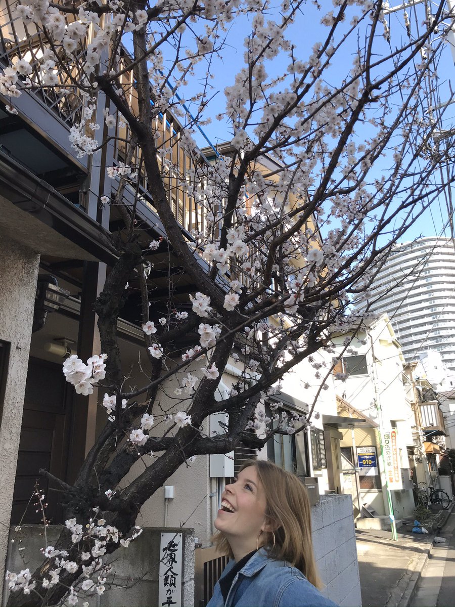 Arakawa : comme Kasai, mais avec la classe moyenne et les vieux et plus de fleurs aussi (les 1ers cerisiers ont éclos en voyant Kmi)