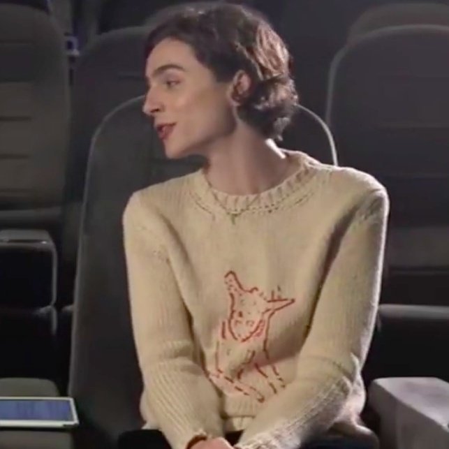 jumpers with animals on