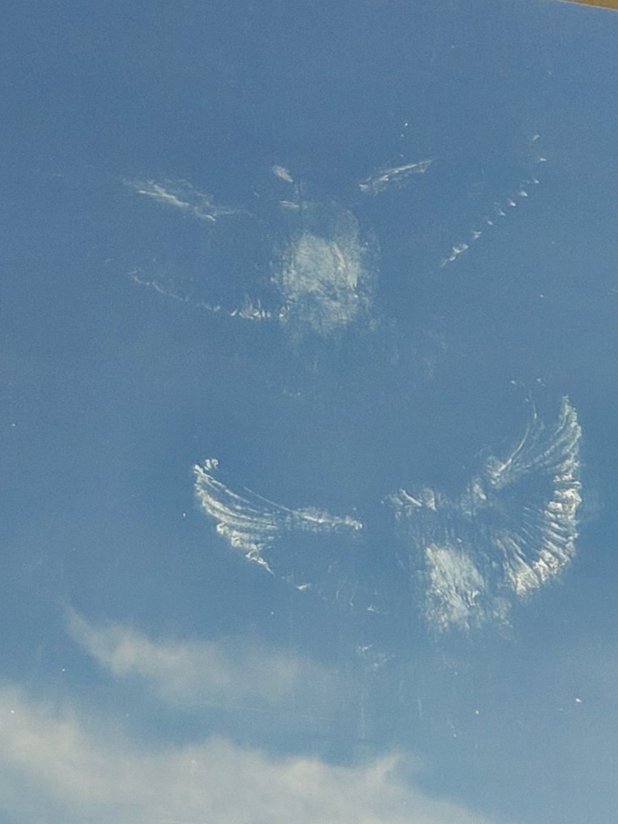 Susan weller tweet media