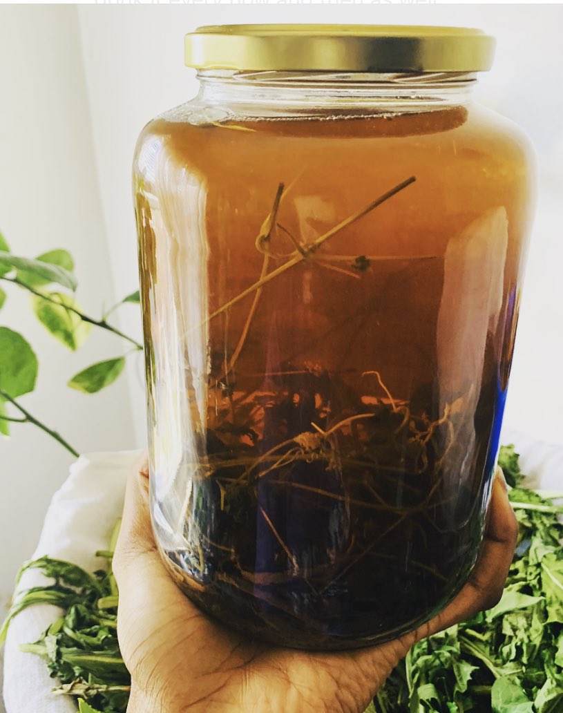 TheRealNatou's tweet photo. Herbal teas, otherwise known as โbush teaโ for centuries have been used by Native and Melanated peoples around the world. There has always been an intuitive understanding of the medicinal properties of the herbs that grew in our own back yards. #mauby #artichoke #cerasee ๐ https://t.co/XYbTgN71fp
