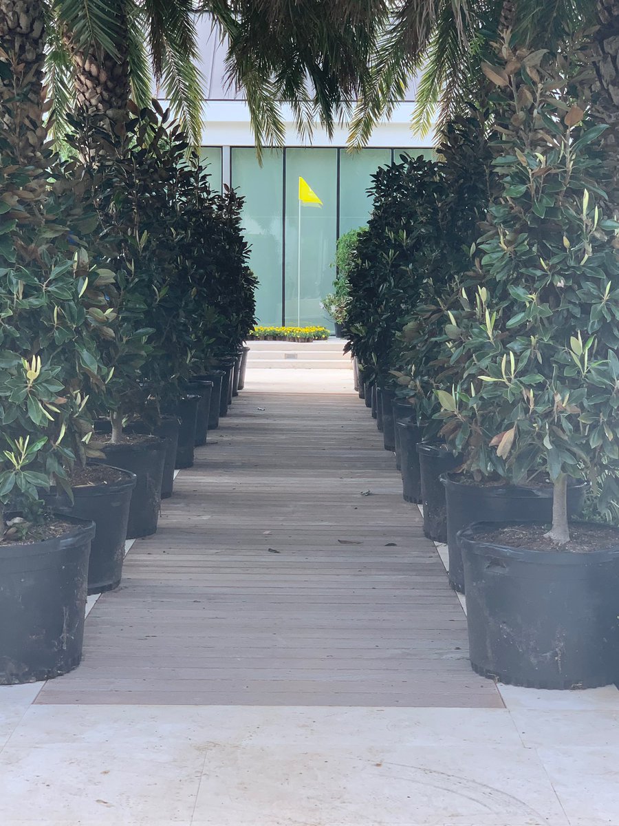 TigerWoods's tweet photo. Our Magnolia Lane quarantine style. https://t.co/YJZpchIBRc