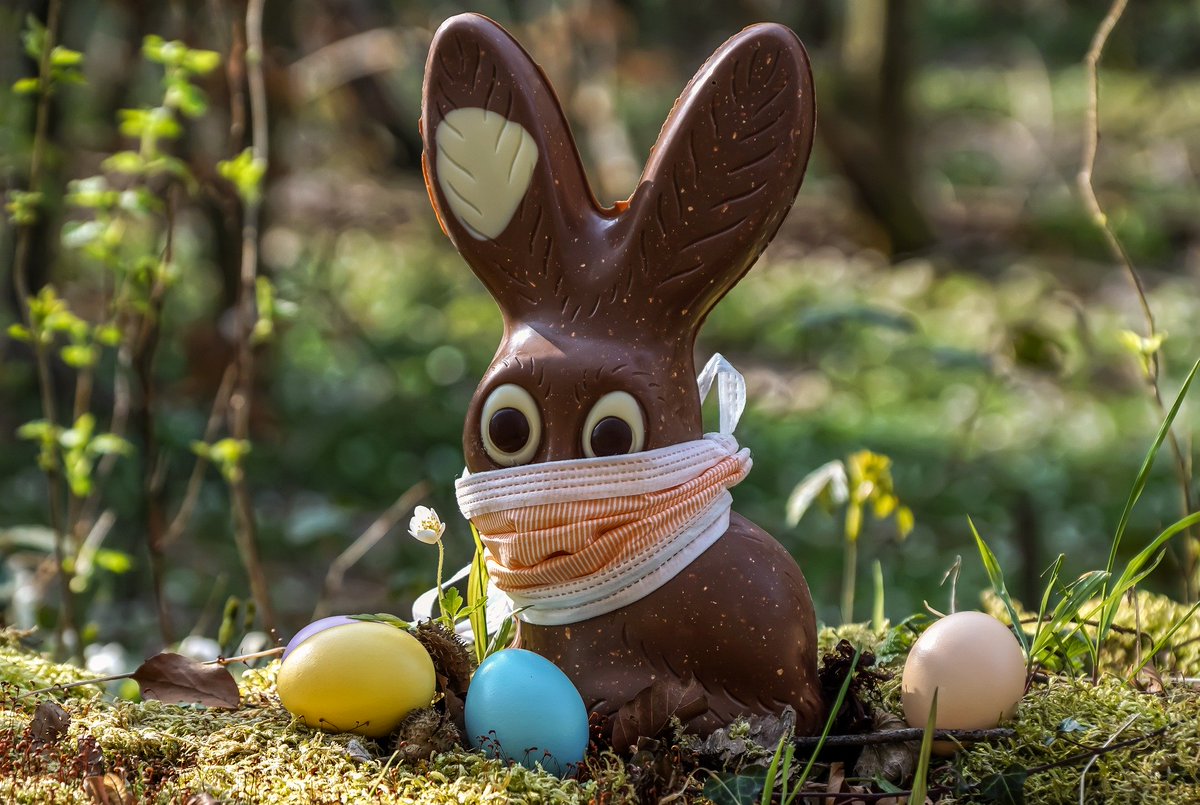 Happy Easter to absent friends! We may all be self-isolating like this bunny at the moment, but let's be thankful for spring, sunshine (and chocolate of course!) and look forward to seeing each other again as soon as possible. Love Matt and Emma x