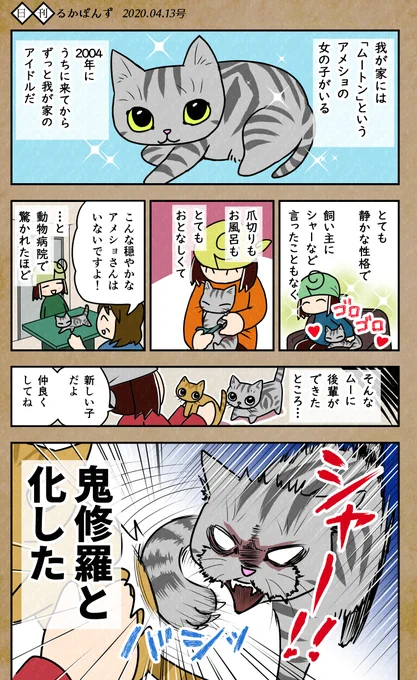 【毎日更新/猫マンガ】ある日、飼い猫が豹変した話。#保護猫3兄妹 #猫 #ねこ漫画 #コミックエッセイ #猫まんが 