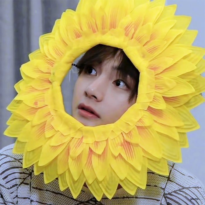 in conclusion, taehyung flower and i miss him:<