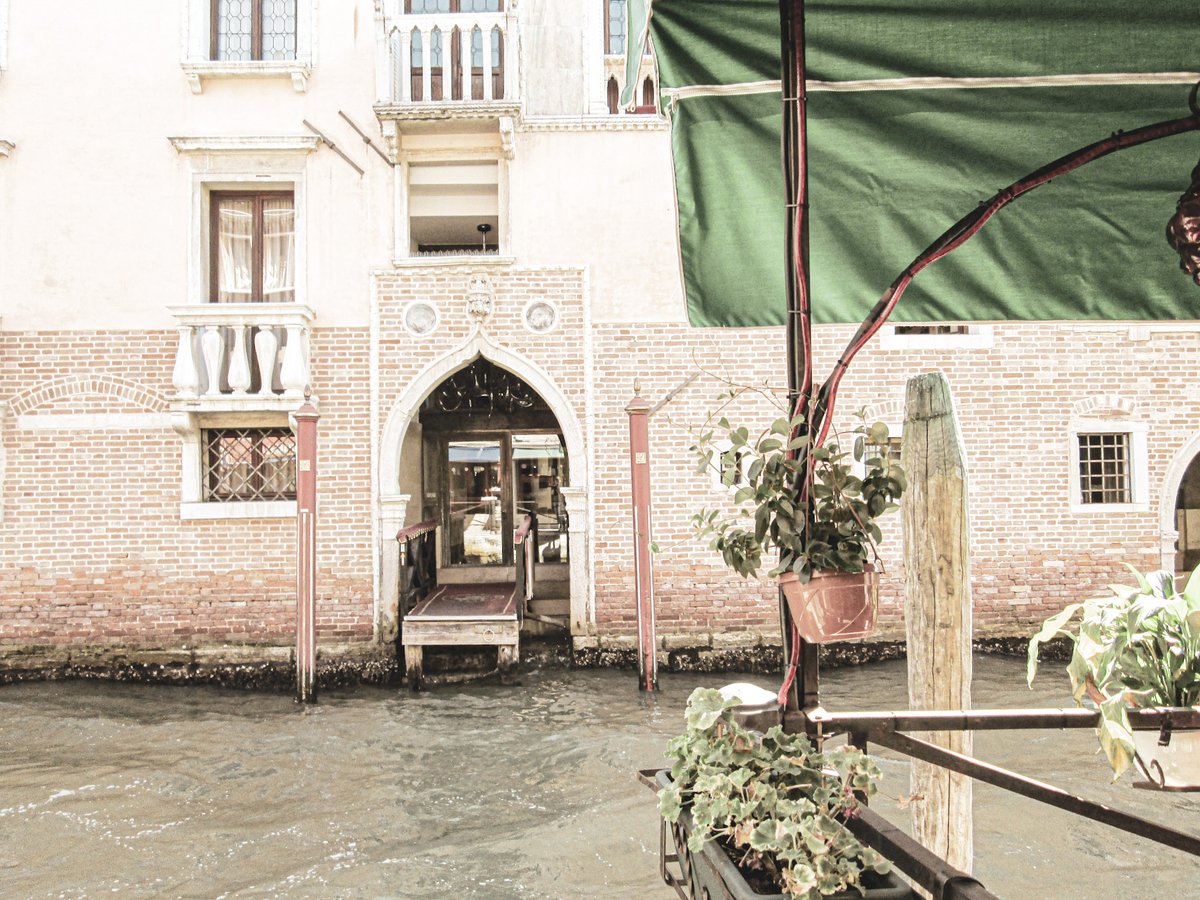 What are you reading while staying safe at home?We recommend VENETIA - Venetian Heritage and Culture.A path to discovering contemporary Venice in 2020.The e-book takes you into the secret city via Venetian  @LaSpezeria  https://lavenessiana-retreats.thinkific.com/courses/Venice-Heritage #Venice  #Venezia