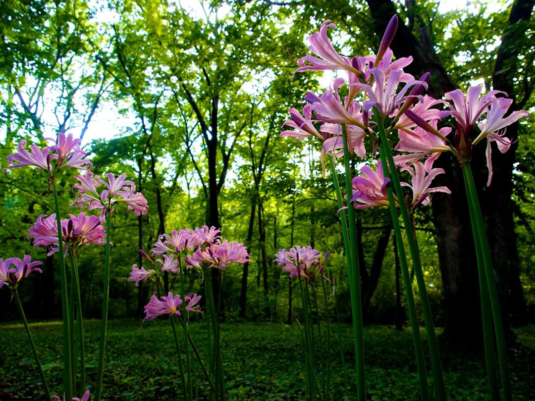 We pause for a moment to reflect on how grateful we are for the amazing young leaders we see before us. May you always be guided by your joy and compassion, and may you continue to be a light to those around you. Happy Easter to you and your loved ones from the NCVF ❤️
