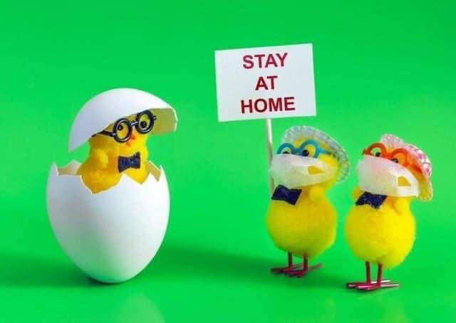 SDLLtd's tweet photo. Happy Easter! Stay safe and stay home everyone. #StayHomeSaveLives https://t.co/7EiRC9zGZu
