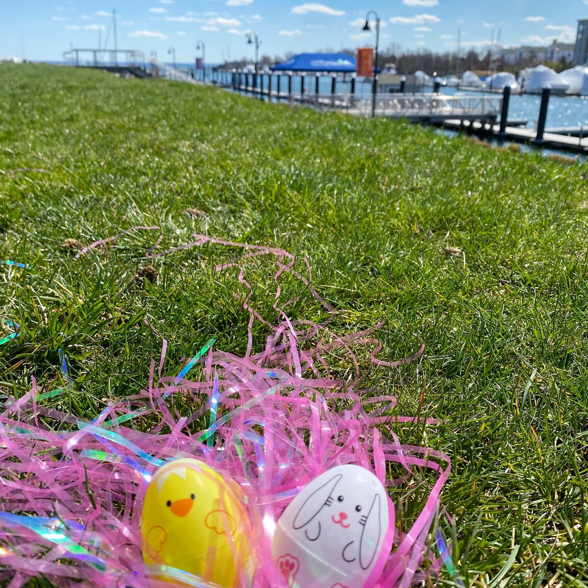 Harbor_Point's tweet photo. Be a good egg this holiday and continue to social distance…Happy Easter to our #harborpoint peeps! 🐣🐇💐
.
.
.
#harborpointstamford #harborpt #happyeaster #easter2020 #liveworkplay #community #harborpointstrong https://t.co/tUF8soHWlf