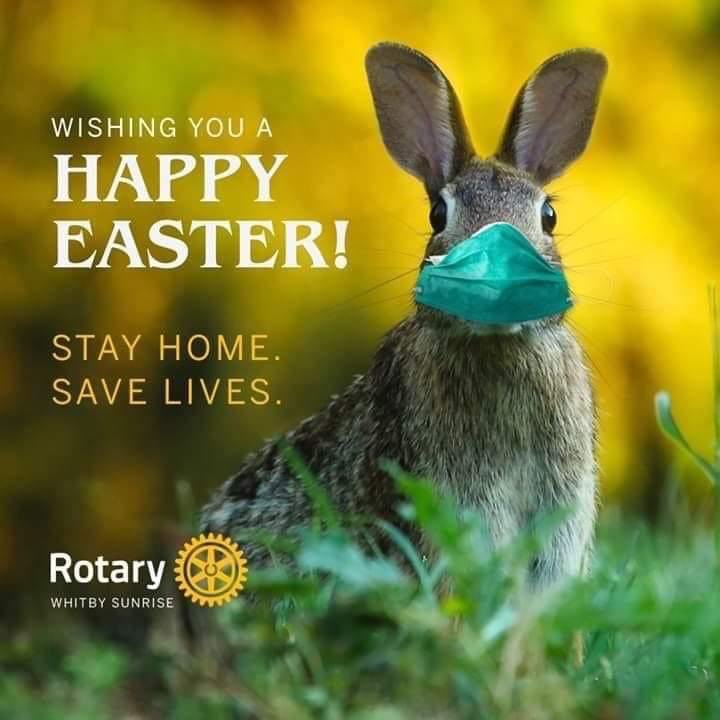 RotaryDelLago's tweet image. 