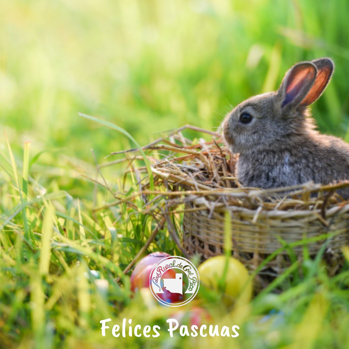 Tiempo de liberar viejas creencias y renacer en la nueva conciencia. 
🐰🥚𝓕𝓮𝓵𝓲𝓬𝓮𝓼 𝓟𝓪𝓼𝓬𝓾𝓪𝓼 🥚🐰