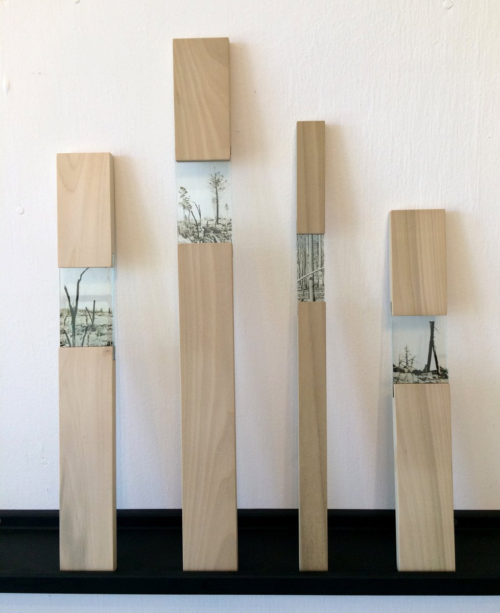 Sant Khalsa, our CC/AA Artist Highlight's artworks and projects develop from her inquiry into the nature of place and complex environmental and societal issues.

#santkhalsa #artisthighlight #natureart #sculpture