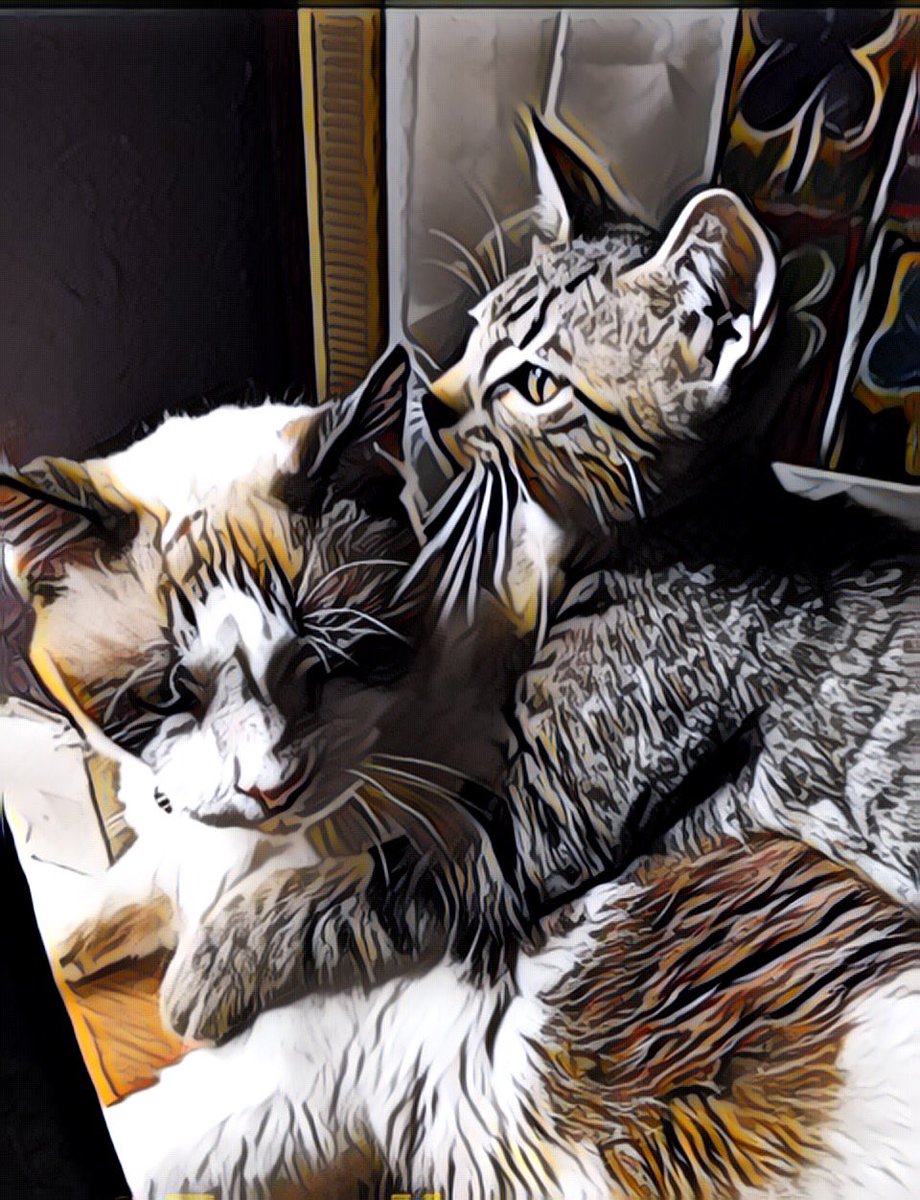 3coolkatz's tweet photo. Happy #Easter efurryone! #RIPRascal πΏ This was one of momβs favorite pic! She used an app to make it look like this! #Tillwemeetagain #Loveneverdies https://t.co/vSX389vBSc