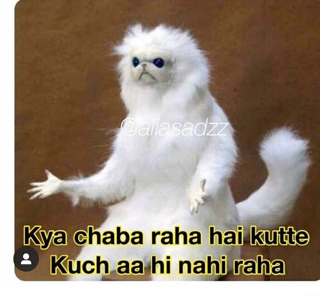 WhyNotsaman's tweet photo. When you are chewing *chingam*
Le stomach- https://t.co/uOavuNEuxf
