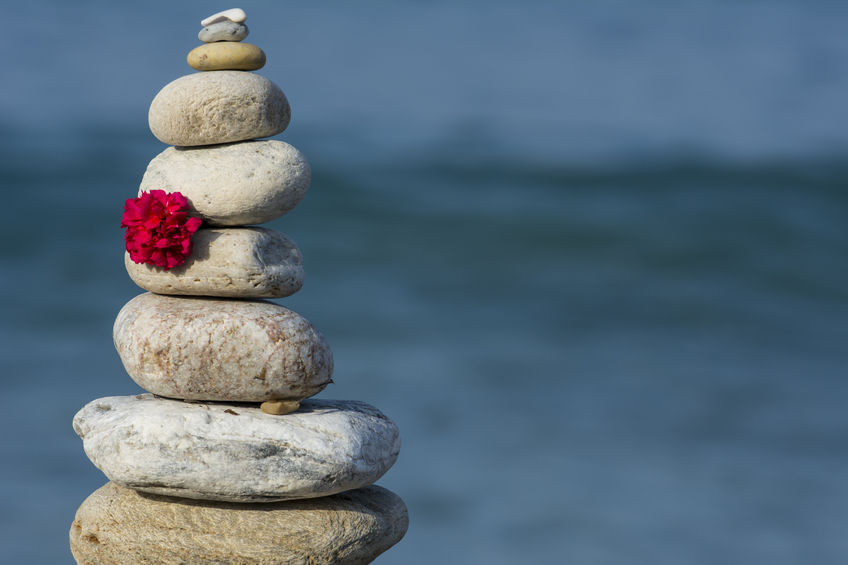 v_capaldi's tweet image. FREE Guided Meditation for Relaxation, Caramel Walnut Chocolate Chip Cookie Recipe and Teaching My Favorite Class with a Discount Code  🙏 - mailchi.mp/paleobosslady/…