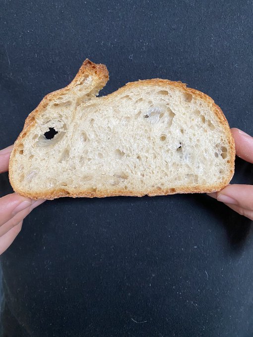 The bunny is risen. https://t.co/un4mkvxpa8