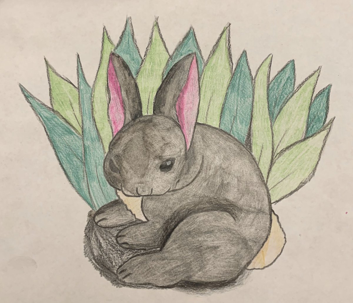 WES_wildcatART's tweet photo. This seemed perfect for today. Have a beautiful day 🙏🐰 Amazing Bunny by Keira ❤️ https://t.co/xL8FB7LVrB