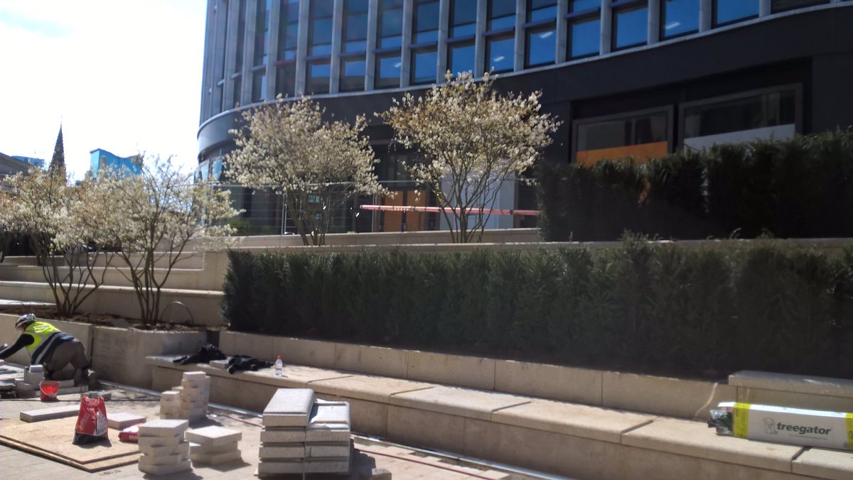 ParadiseBham's tweet image. Great to see the results of the new planting we’ve been installing in the public spaces of Paradise #Birmingham this #Easter and can’t wait to reveal further progress in the coming weeks @BAMConstructUK @Glenn_Howells