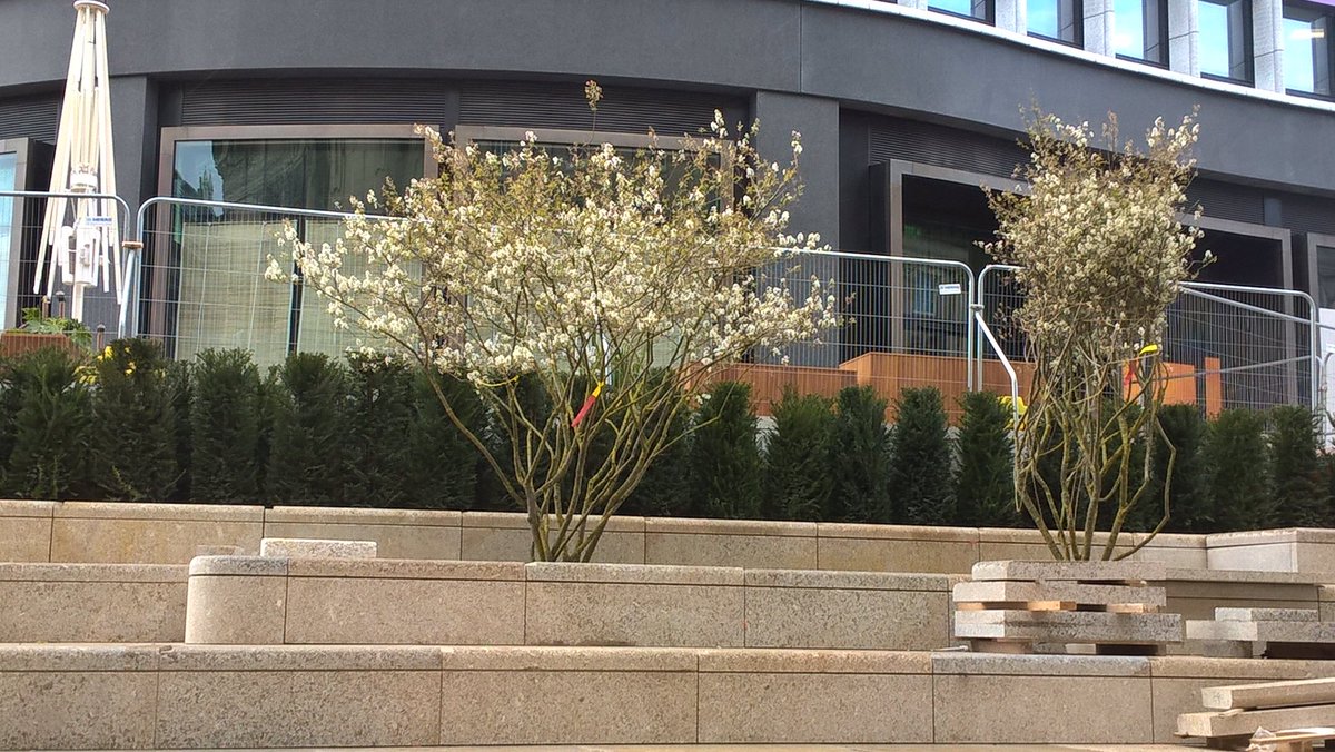 ParadiseBham's tweet image. Great to see the results of the new planting we’ve been installing in the public spaces of Paradise #Birmingham this #Easter and can’t wait to reveal further progress in the coming weeks @BAMConstructUK @Glenn_Howells