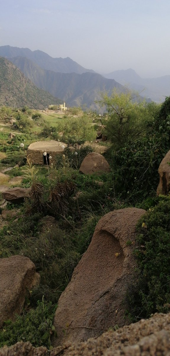 اللهم تولنا برحمتك ولا تكلنا إلى غيرك، اللهم أرفع وأدفع عنا هذا الوباء يا أرحم الراحمين❤️