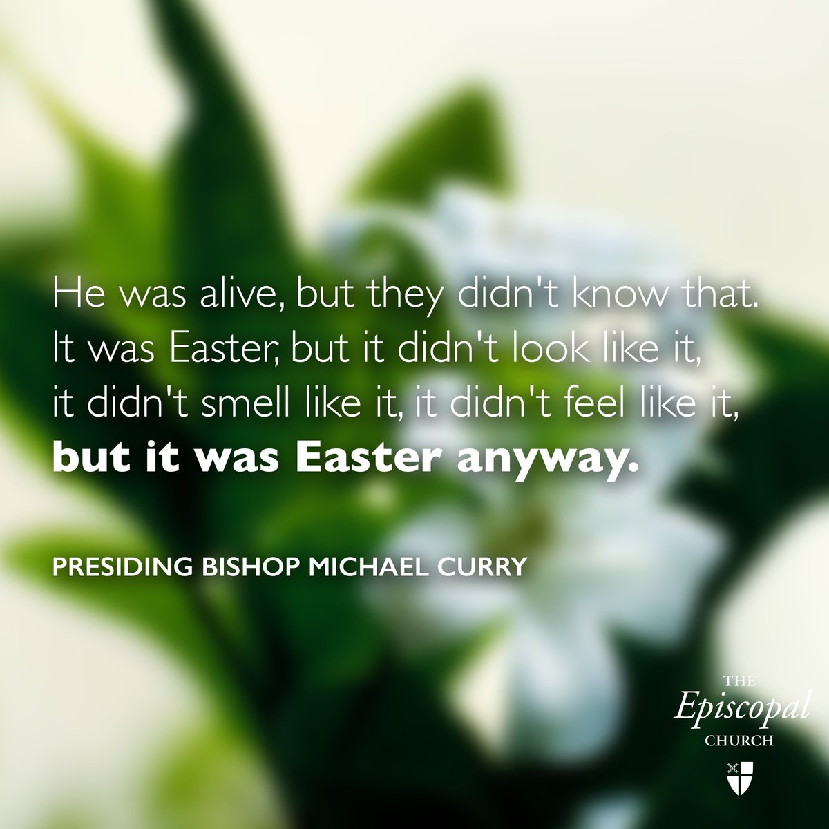 He was alive, but they didn't know that. 

It was Easter, but it didn't look like it, it didn't smell like it, it didn't feel like it, but it was Easter anyway.

#Easter2020 #Easter <a href="/iamepiscopalian/">The Episcopal Church</a> #worship #church