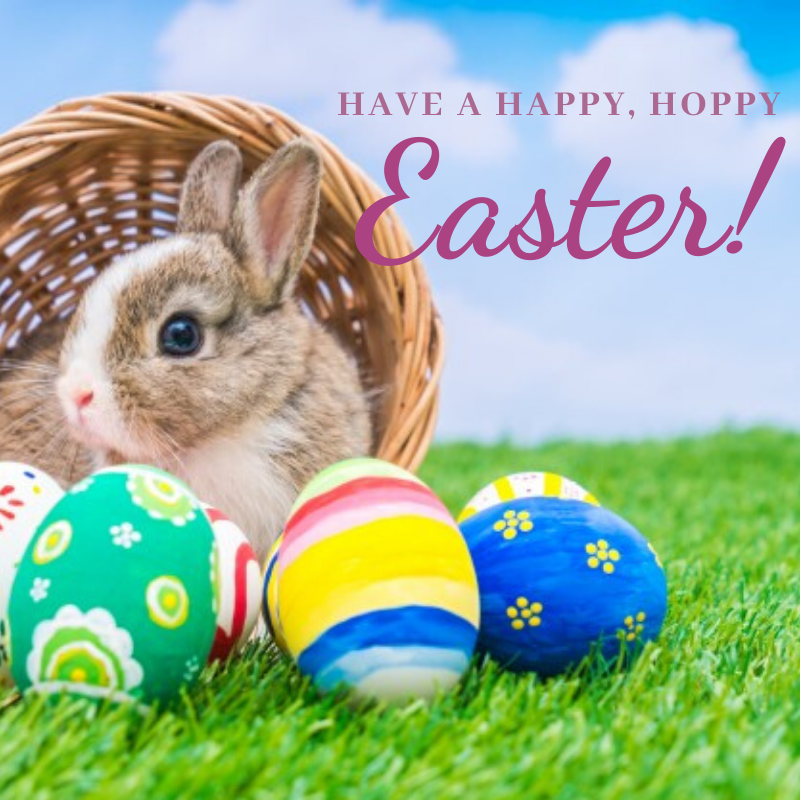 Florida Ticket Firm tweet media