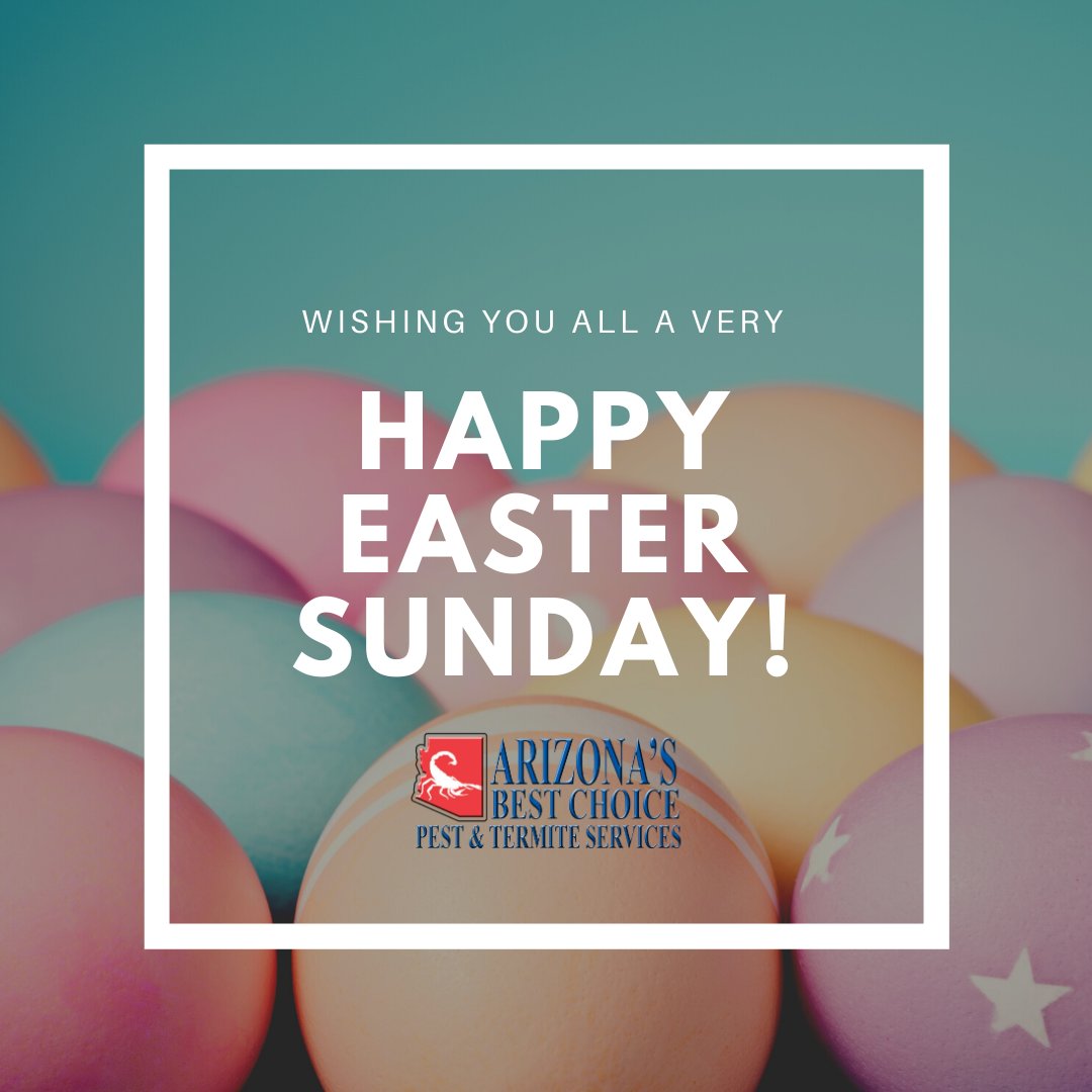 Happy Easter Sunday to all of our followers! We hope you have the best day 🐰🌸