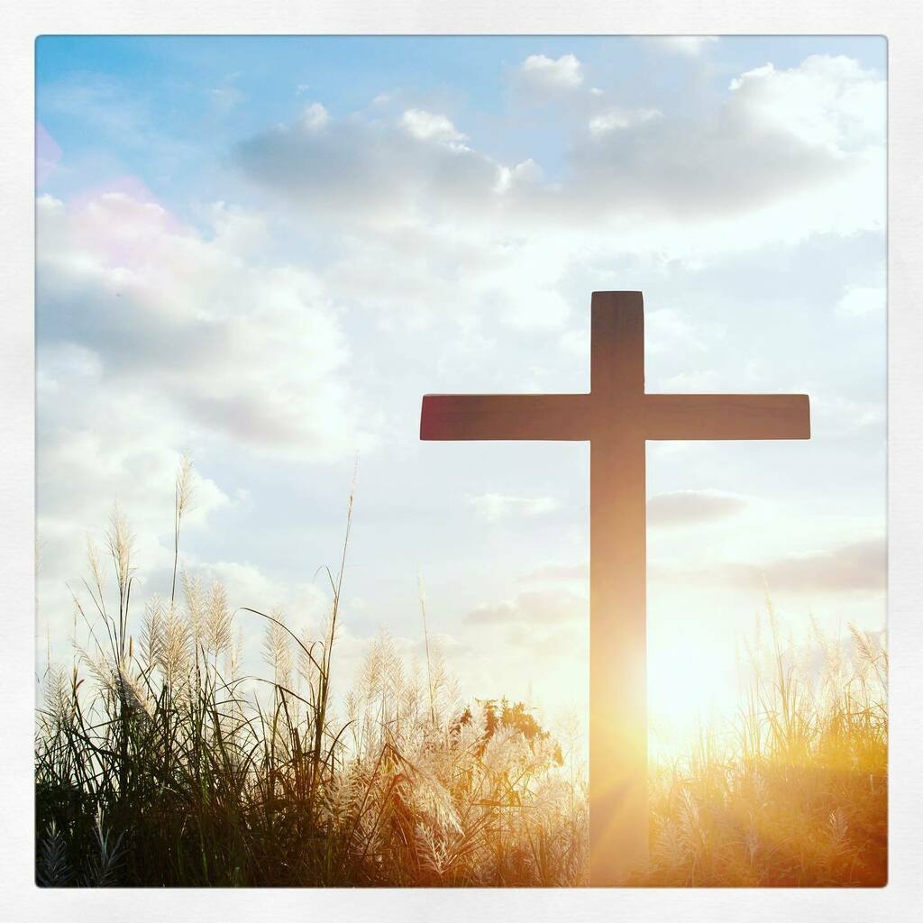 Northwest Dist LCMS tweet media