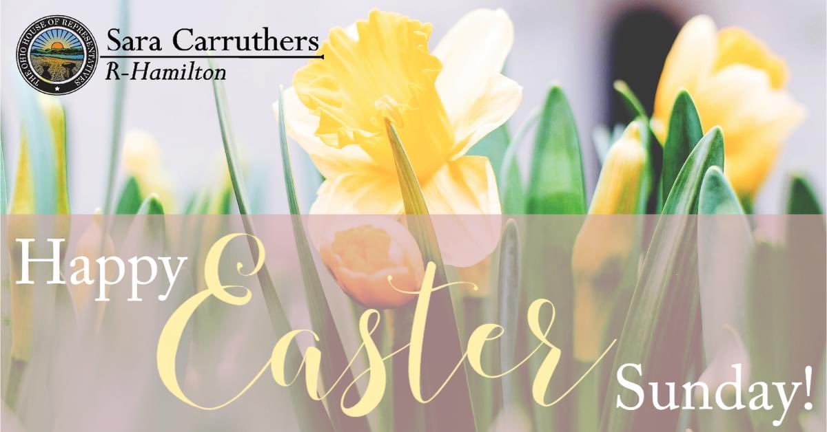 Rep. Sara Carruthers tweet media