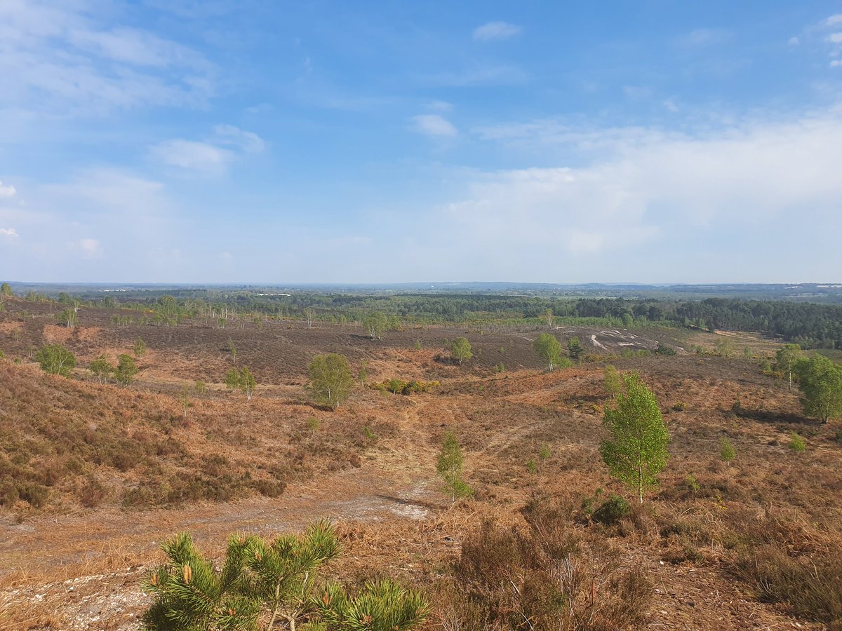 Shoesandtattoos🖤 (@boozeshoetattoo) on Twitter photo 