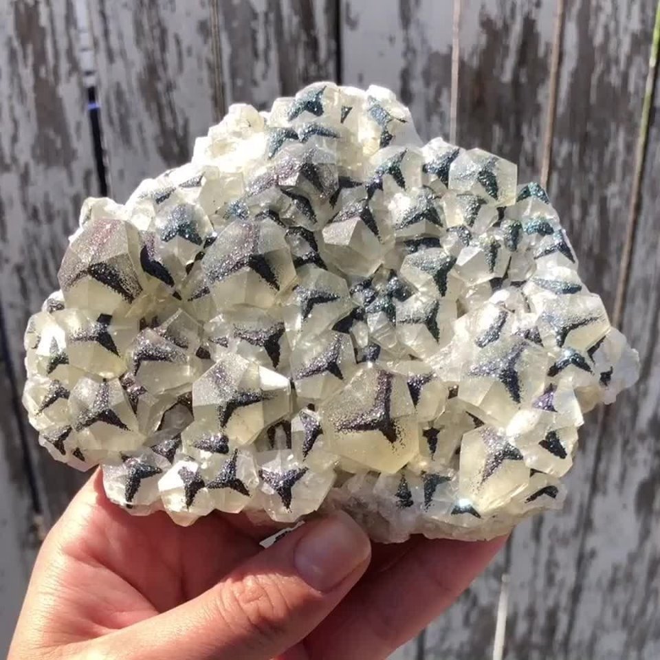 GeologyTime's tweet photo. Wild looking Calcite &amp; Pyrite Crystal formation! This is from Chenzhou, China.

Photo: Glendora Gems Lapidary Club

#minerals #crystals https://t.co/B4PNLsmvQL