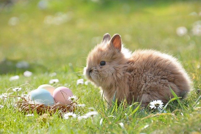 PWRGymTucson's tweet photo. Happy Easter from PWR!
#pwr4life #exercise4brainchange #easter https://t.co/1cxBeMmaf3
