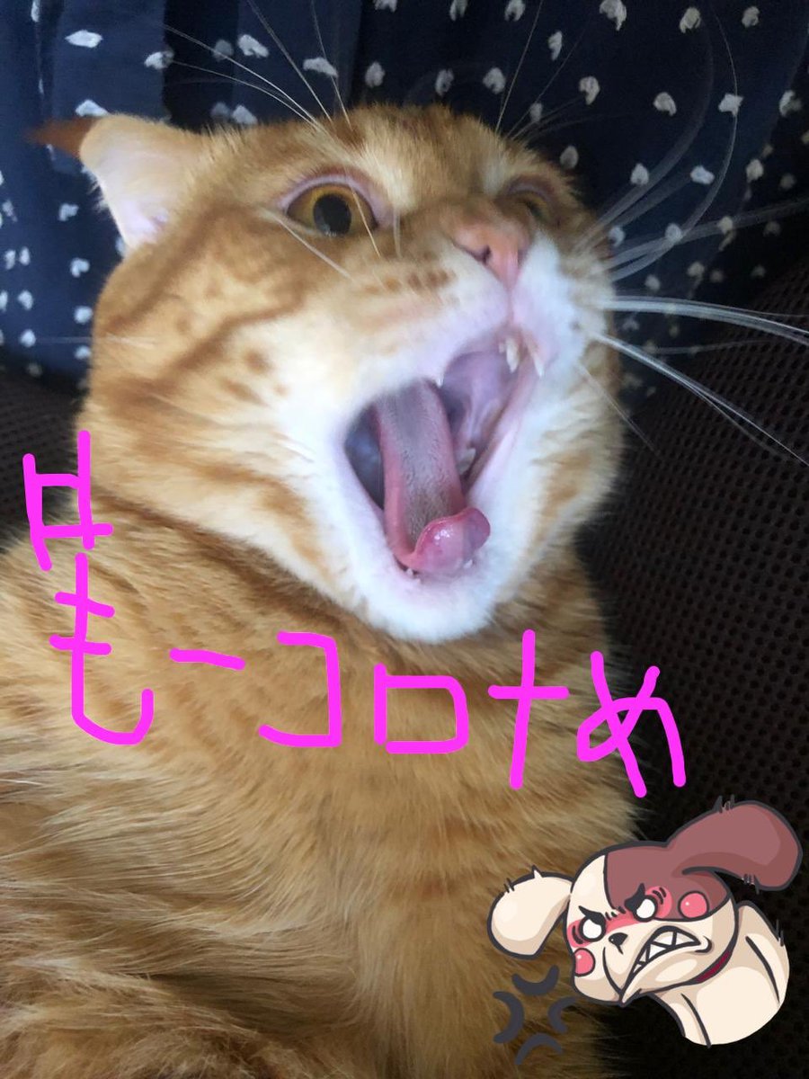godzi_godzilla's tweet photo. #もーコロナめ！ https://t.co/vCzFGCX4UT