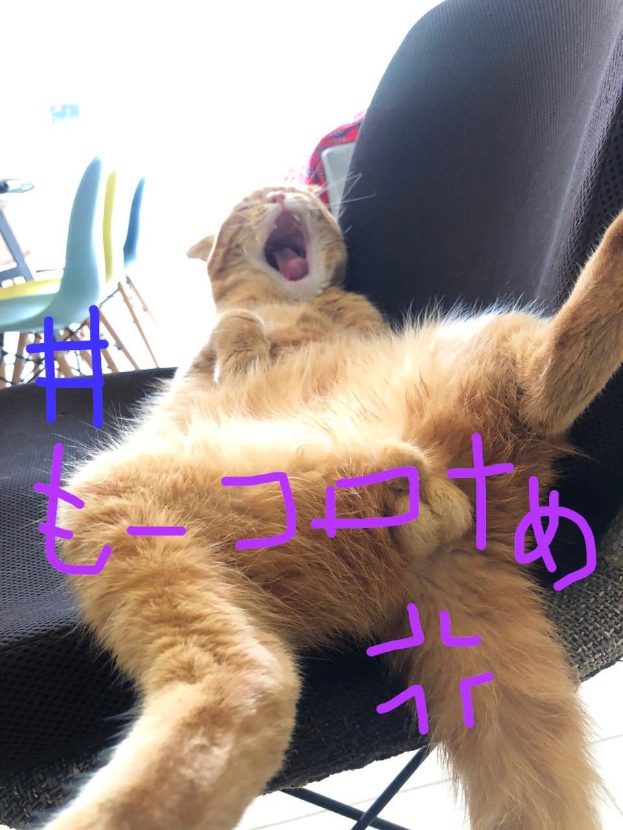 godzi_godzilla's tweet photo. #もーコロナめ！ https://t.co/vCzFGCX4UT