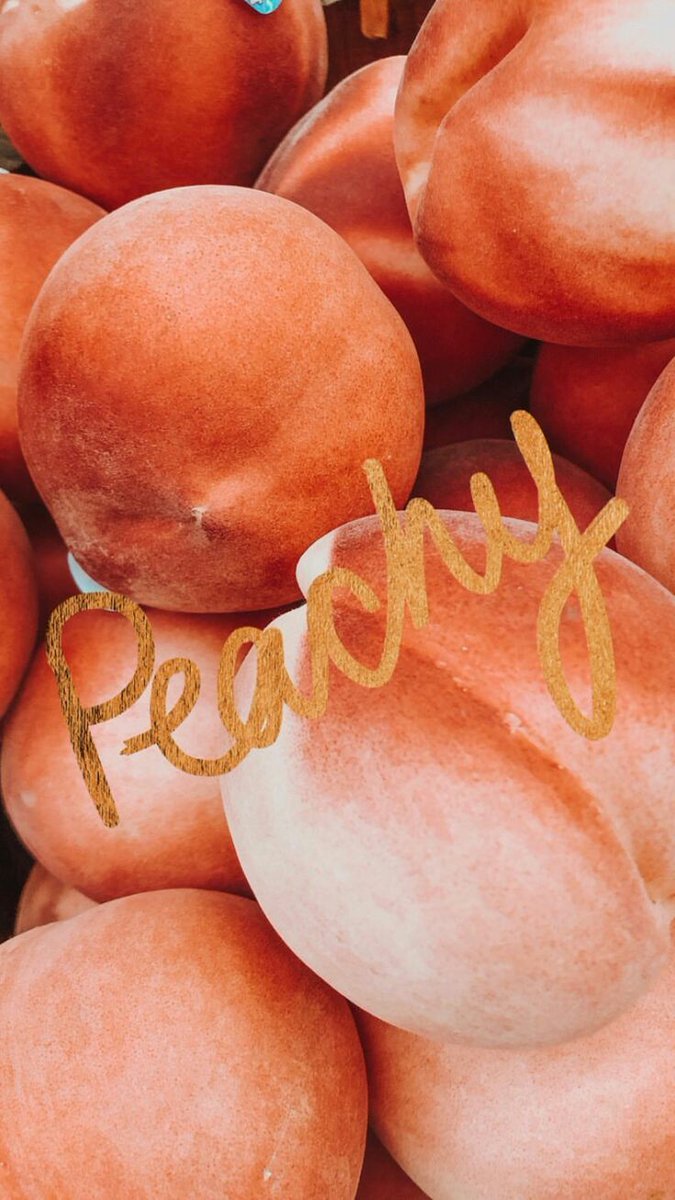 •𝔉𝔬𝔫𝔱𝔰𝔉🍑 @Rest tweet media