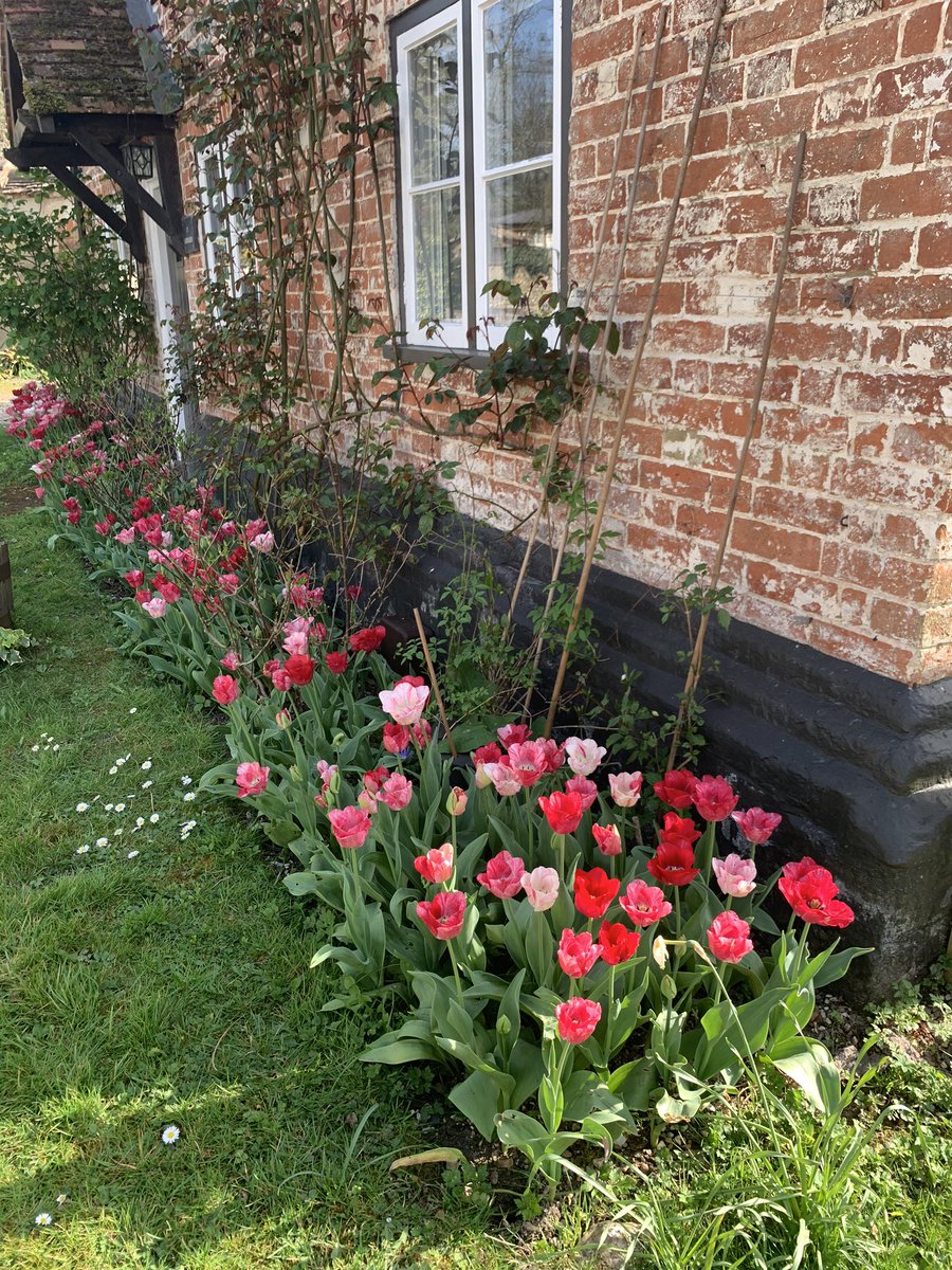 RASTightlines's tweet photo. @TheMontyDon Hampshire neighbours always look great. https://t.co/x3uNfGIQ9t